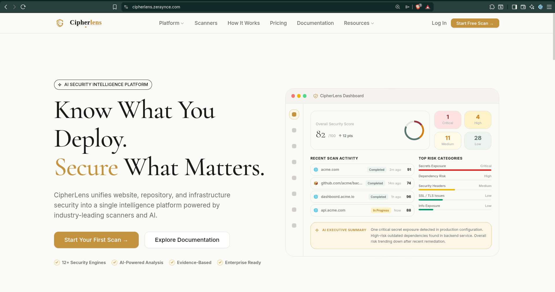CipherLens project screenshot